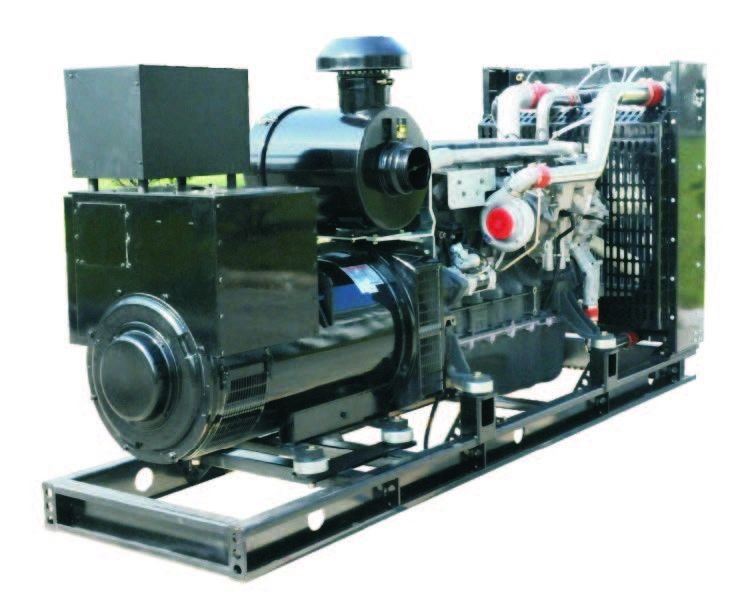 250kW LPG Natural Gas Biogas Electricity Generator 1500RPM